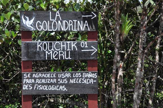 Pelo visto, é comum as pessoas usarem as cachoeiras da Gran Sabana, na Venezuela, como banheiro...